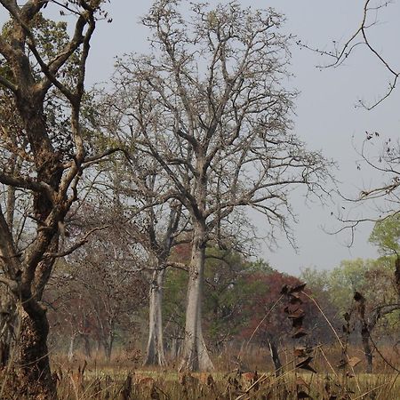 Babai Resort Pvt Ltd Bardiya Eksteriør billede