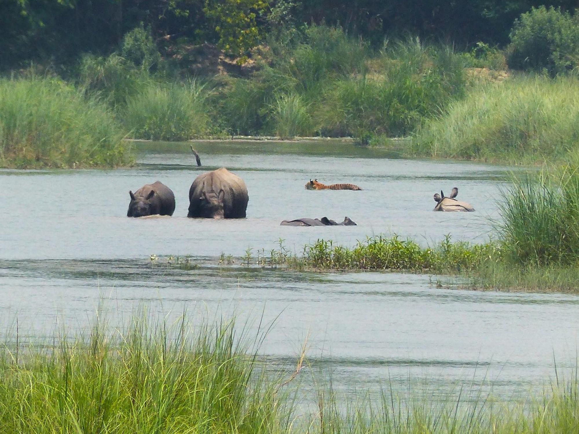Babai Resort Pvt Ltd Bardiya Eksteriør billede